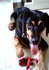 【金牌特务】金牌特务短篇