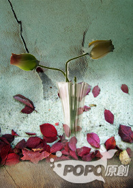 楼上的流氓先生