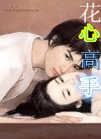 豪门婚变:民女终得宠